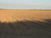 54-fields-5-dsc0218