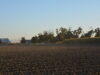 58-fields-9-dsc0236