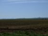 dsc0021